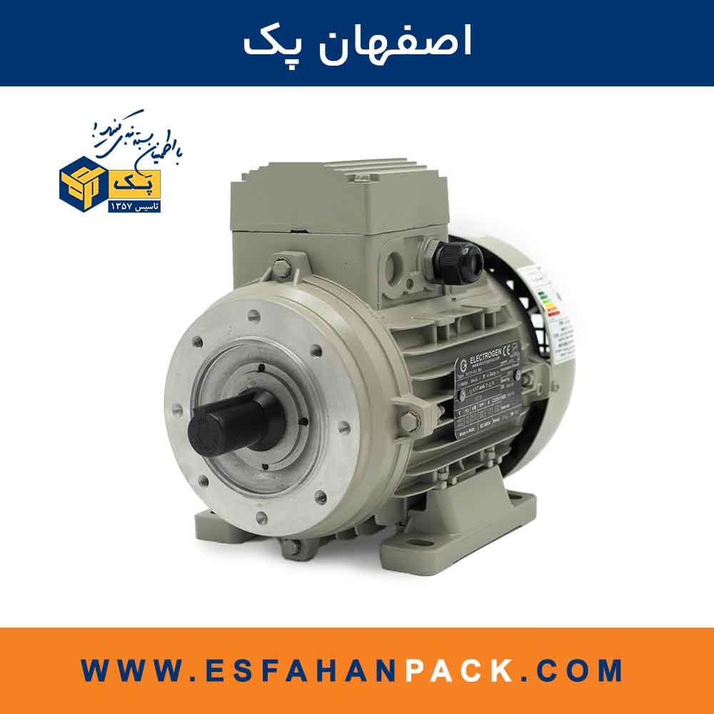 موتور سه فاز الکتروژن 0.37kw - 925rpm