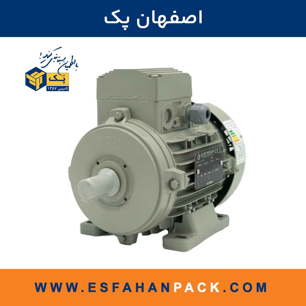 موتور سه فاز الکتروژن 0.75kw -2800rpm